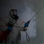 fumigación y sanitización