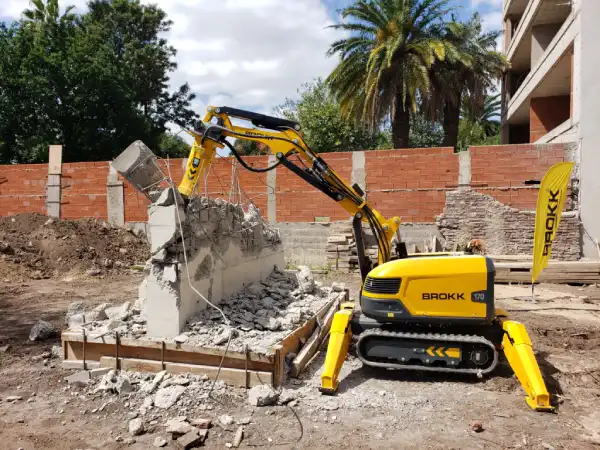 certificado de desratización para demolición